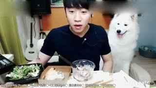 女主播爆料吃货视频在线观看,吃货视频在线观看，美味瞬间尽收眼底！